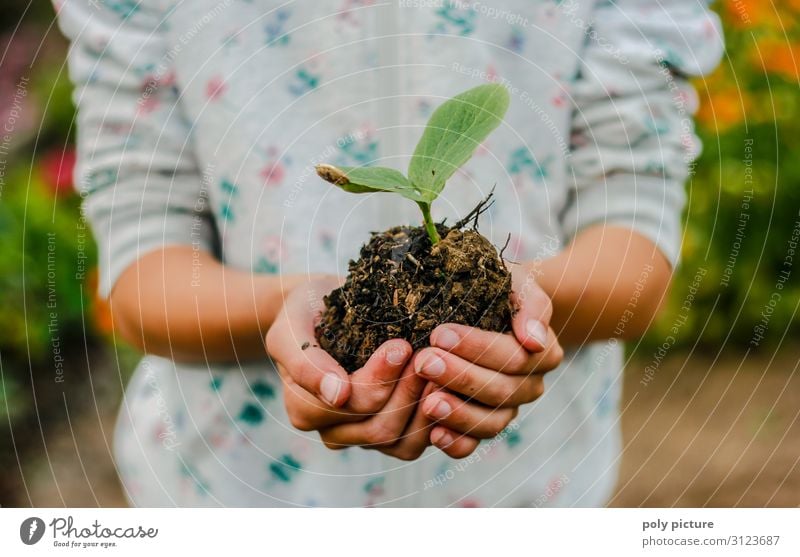 Girl hand holding pumpkin seedling Lifestyle Leisure and hobbies Vacation & Travel Summer vacation Hand Fingers 13 - 18 years Youth (Young adults) 18 - 30 years