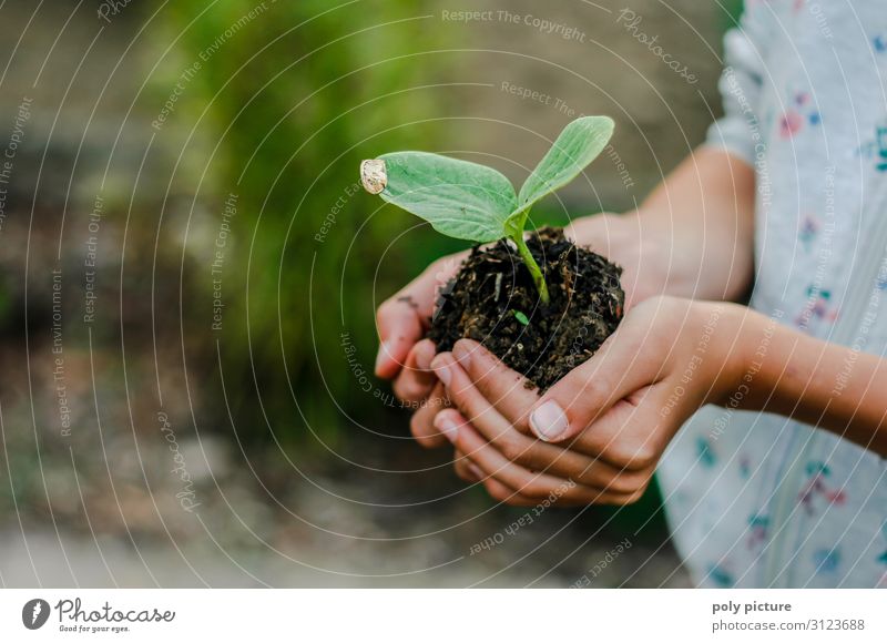 Children's hand holds young plant Lifestyle Leisure and hobbies Vacation & Travel Girl Infancy Youth (Young adults) Hand Fingers 8 - 13 years 13 - 18 years