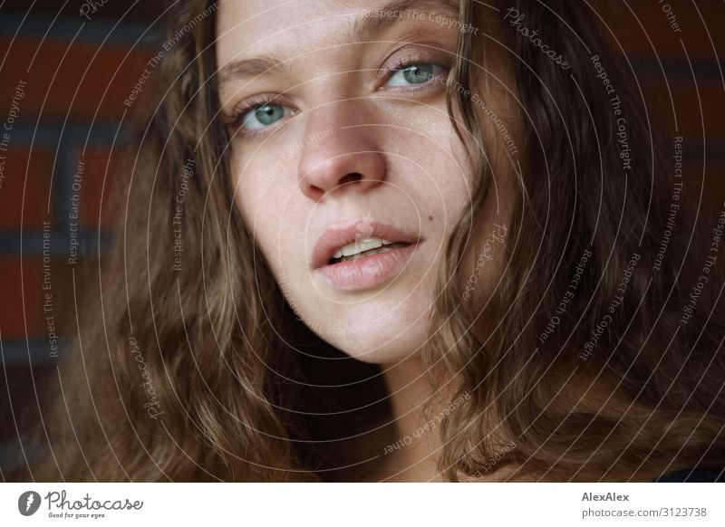 Portrait of a young woman in front of a brick wall Lifestyle Style already Young woman Youth (Young adults) 18 - 30 years Adults Wall (barrier) Wall (building)