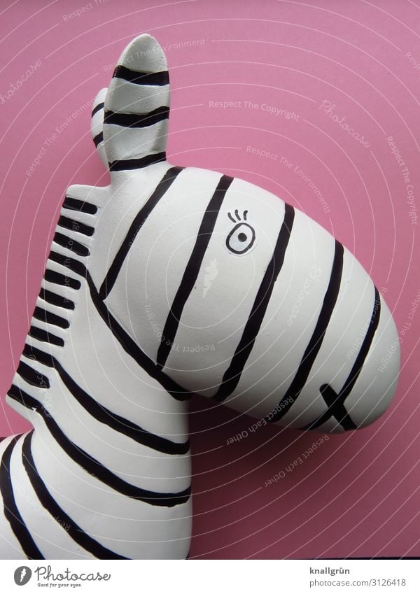 Breton stripes Wild animal Zebra 1 Animal Looking Pink Black White Design Chic Stripe Decoration Colour photo Studio shot Deserted Copy Space right