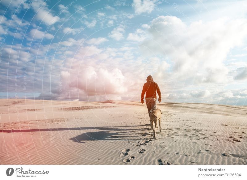 on the way Vacation & Travel Adventure Far-off places Freedom Sun Beach Ocean Landscape Elements Sand Sky Clouds Sunlight Beautiful weather North Sea Baltic Sea