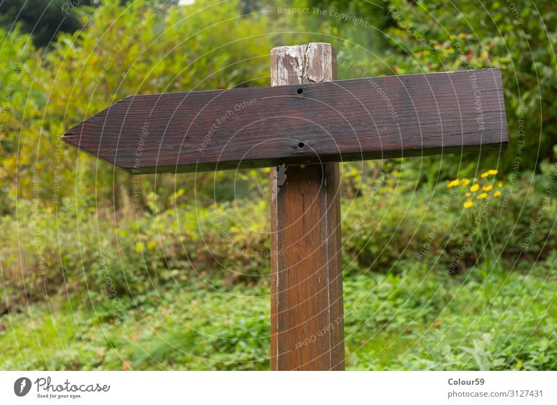 wooden panel Nature Wood Signs and labeling Signage Warning sign Brown Green Communication Symbols and metaphors Information Wooden sign Blank Arrow