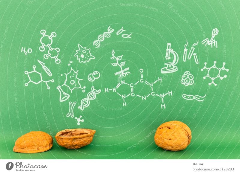 Concept of biology in a nutshell Academic studies Laboratory Green White Background picture Graph Illustration Symbols and metaphors Biology Biochemistry