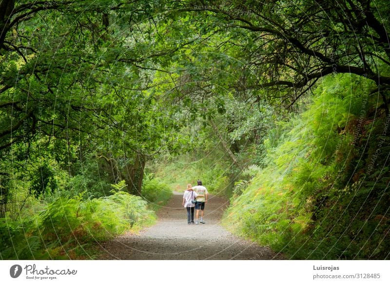 couple walking in the woods Lifestyle Healthy Vacation & Travel Tourism Adventure Freedom Hiking Human being Masculine Feminine Woman Adults Man Friendship