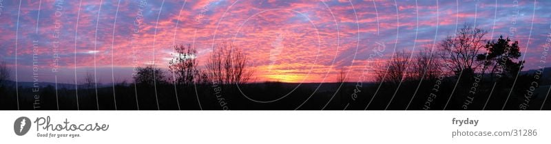 the sky is boiling Wide angle Panorama (View) Sunset Tree Clouds Large Panorama (Format)