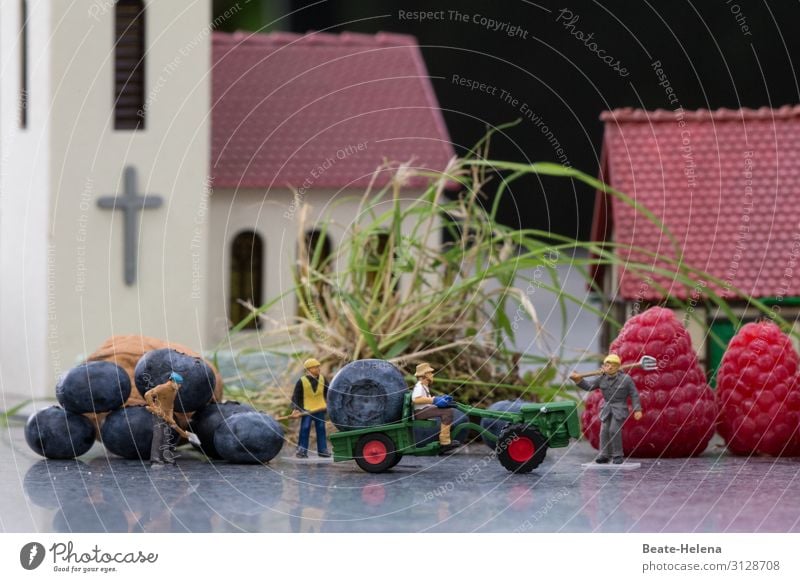 Four harvest helpers transport gigantic berry harvests in the middle of the village onto the loading area of the tractor toy world Village centre