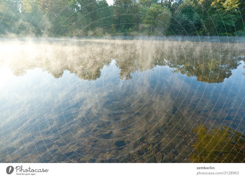 Berlin, Hohenzollern Canal Fog Haze River Morning Channel Navigation Sunrise Logistics Coast Lakeside River bank Water Surface of water Calm Nature