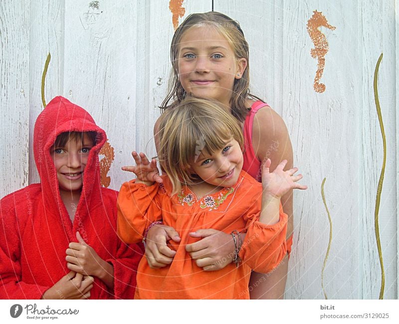 Three cheerful girls are joking in the pool. Swimming pool Vacation & Travel Tourism Beach Swimming & Bathing Human being Feminine Child Brothers and sisters