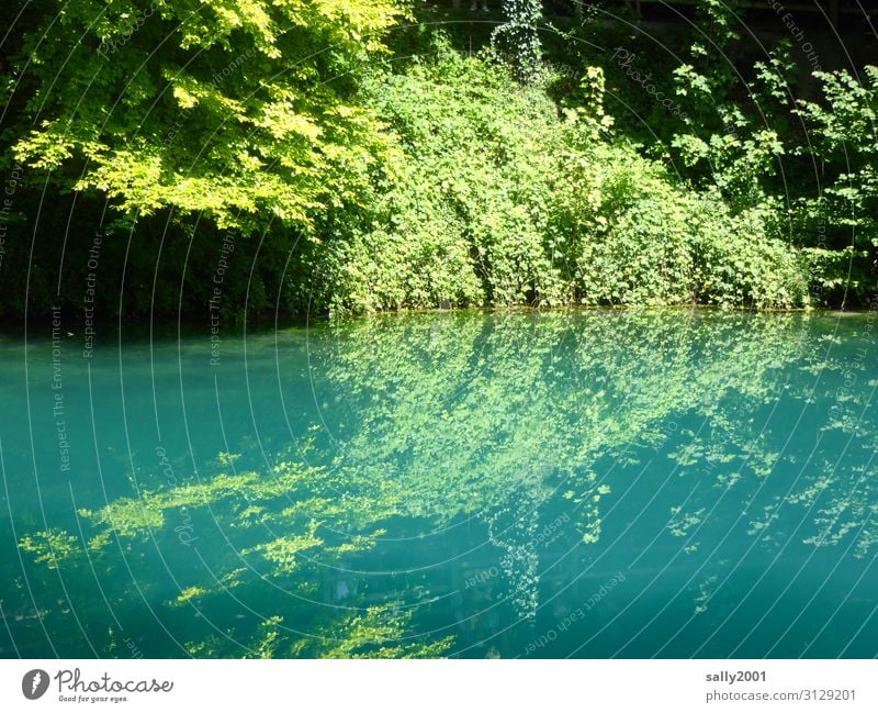 blue rests the lake... Blautopf Baden-Wuerttemberg Swabian Jura Lake Mountain Sunlight Light (Natural Phenomenon) Reflection Day Deserted Exterior shot Gorgeous