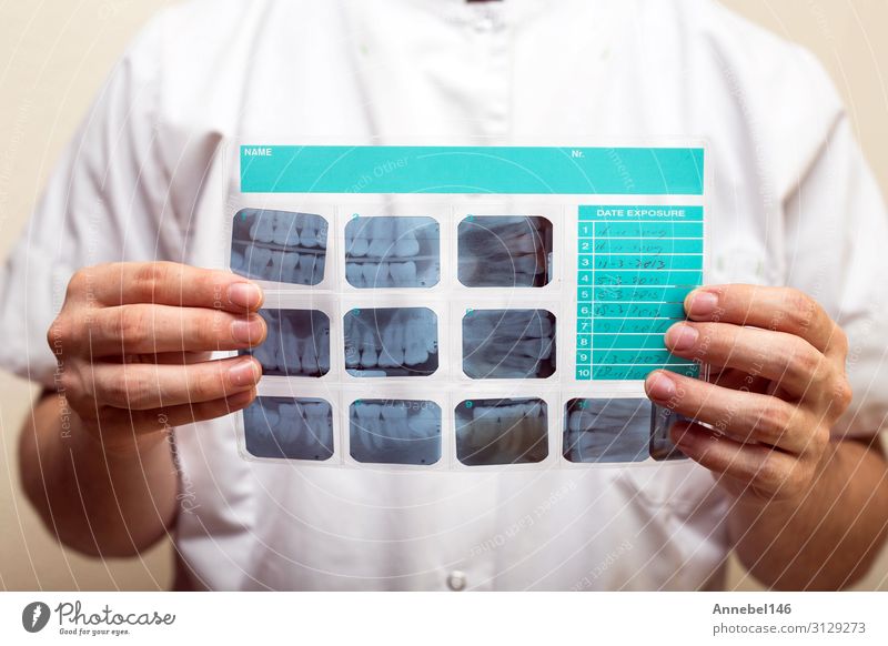 Image of male doctor or dentist with dental x-ray Health care Medical treatment Illness Medication Examinations and Tests Doctor Technology Human being Man