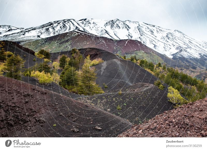 Etna Landscape Elements Bushes Mountain Snowcapped peak Volcano Mount Etna Lava Lava field Hiking Threat Famousness Natural Brown Gray Green White Watchfulness