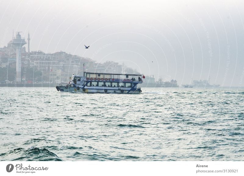 the last boat Tourism Fog Ocean Waterway Istanbul The Bosphorus Ferry Driving Swimming & Bathing Bright Maritime Speed pretty White Authentic Wanderlust Horizon