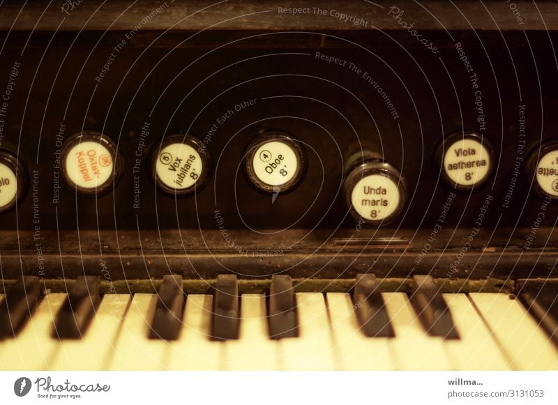 octave-coupled harmonium Organ Keyboard instrument Musical instrument Old Nostalgia dusty octave coupling Vox jubilans Unda maris Worm-eaten Classification