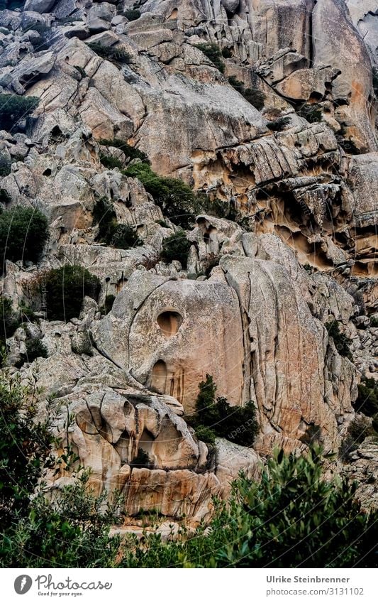 Rock formation II Sardinia rock formation Stone Landscape Erosion Weathered stone fissured cracks fissures Cervice Monolith Monte Pulchiana natural monument