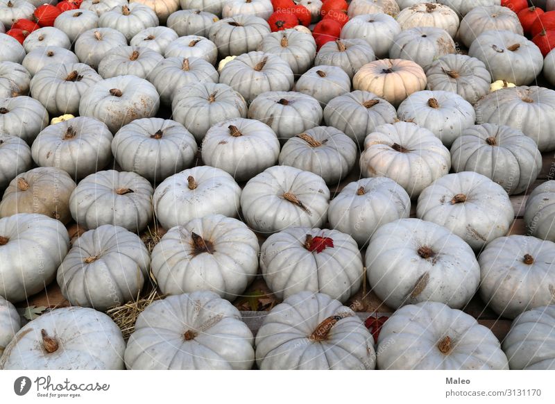 Fresh healthy organic pumpkins at an agricultural market in autumn. Autumn Bazaar Organic produce Organic farming Multicoloured Cooking Farm Farmer Food