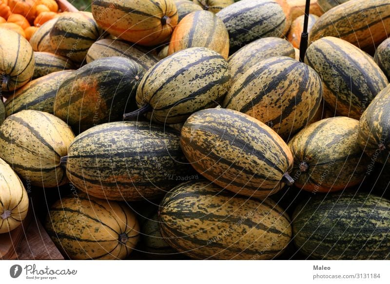 Fresh healthy organic pumpkins at an agricultural market in autumn Autumn Bazaar Organic produce Organic farming Multicoloured Cooking Farm Farmer Food