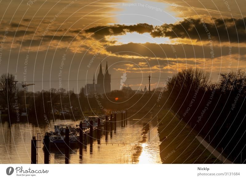 View of Cologne Cathedral from Cologne-Mülheim harbour Sky Clouds Sun Sunrise Sunset Sunlight Autumn Winter Beautiful weather River Rhine North Rhine-Westphalia