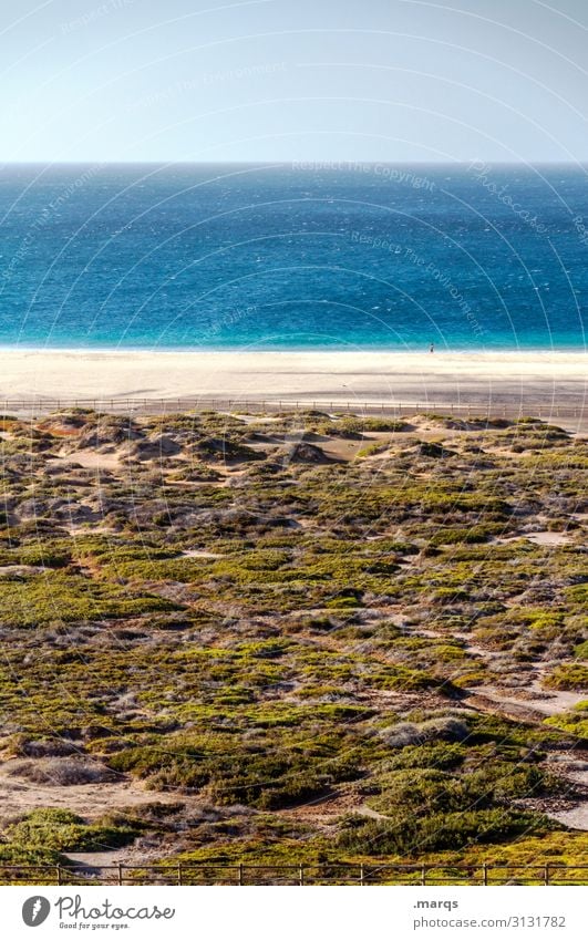 Empty beach Nature Beach Ocean Sky Beautiful weather Cloudless sky Horizon Tourism Relaxation