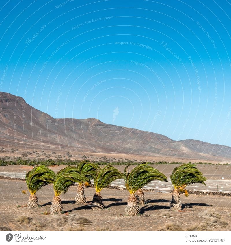 storm hairstyle Vacation & Travel Far-off places Nature Landscape Beautiful weather Deserted Freedom Adventure Trip Tourism Summer Sky Hill Spain Hot Dry