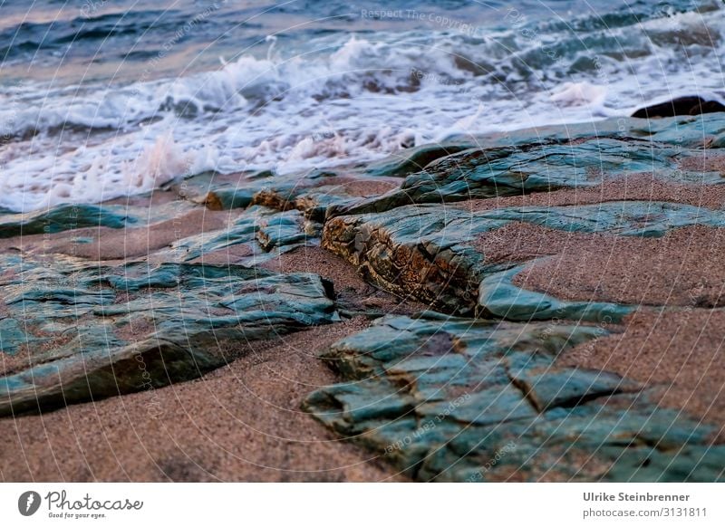 Rocky beach as if made of jade Stone Sand Bay Coast Ocean Mediterranean sea Beach stone Waves White crest jade green Green Sardinia La Ciaccia Water Deserted