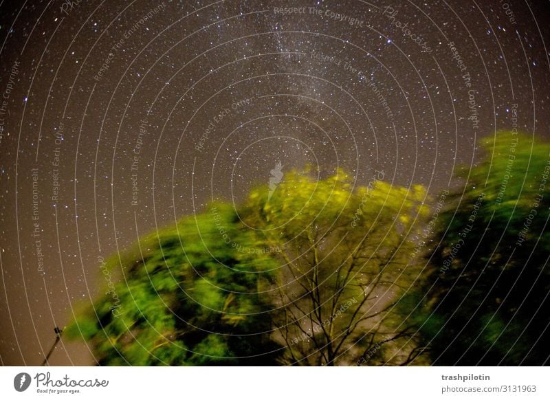 stars Environment Nature Landscape Elements Air Earth Sky Night sky Stars Tree Forest Speed Hope Milky way Long exposure Colour photo Exterior shot