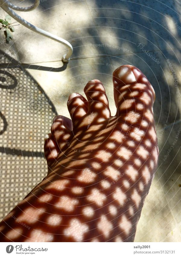 skin thing | natural tattoo... Feminine Feet Sunlight Summer Illuminate Esthetic Exceptional Natural Pattern Barefoot Tattoo Skin Shadow Colour photo