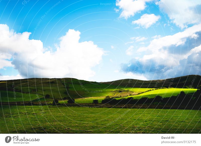 green meadows, blue sky and a play of light and shadow Shadow Light Visual spectacle Shadow play Wales Ireland Nature out Blue Clouds White already tranquillity