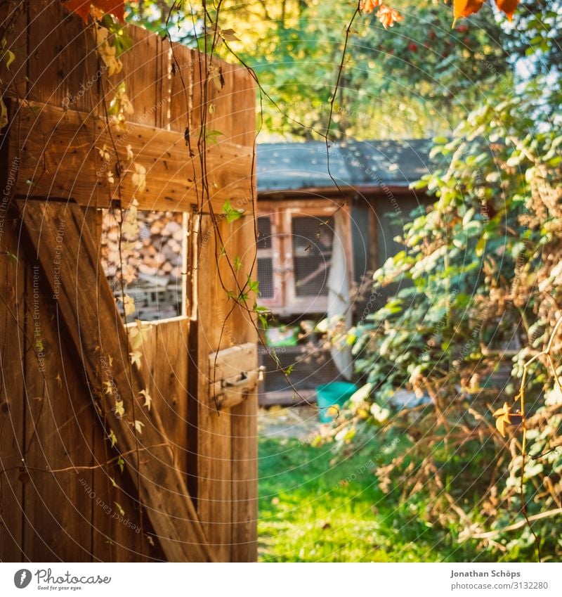 View through a wooden door in the garden in autumn Autumn Architecture Background picture Beautiful Barn Scales Storage shed Multicoloured Copy Space top