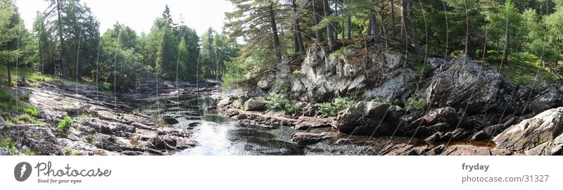 scotland #1 Panorama (View) Wide angle Scotland Forest Tree River Stone Large Panorama (Format)