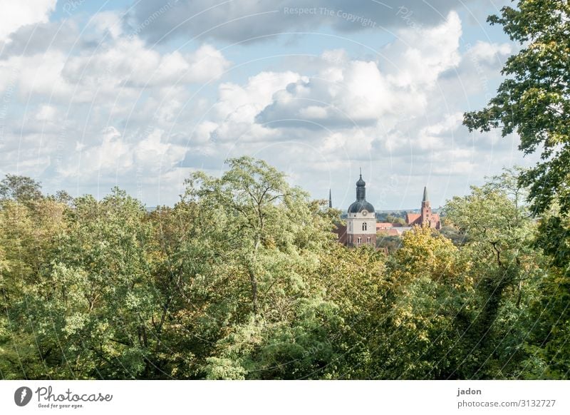 cityscape. Elegant Style Tourism Painting and drawing (object) Nature Landscape Clouds Autumn Tree Bushes Forest Hill Town Old town Skyline Church Dome Building