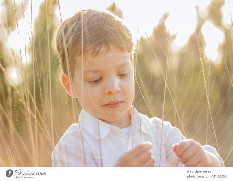 Kid in field playing with spikes at summer sunset Lifestyle Joy Happy Beautiful Leisure and hobbies Playing Freedom Summer Sun Child Human being Boy (child)