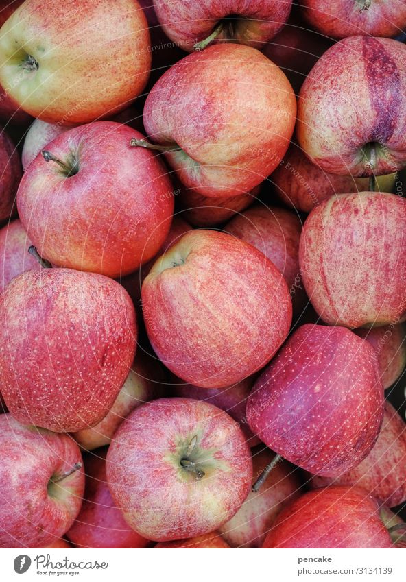 botox orange Food Apple Famousness Kitsch Round Juicy Clean Inject Perfect False Unhealthy Insect destroyer Colour photo Exterior shot Close-up Detail