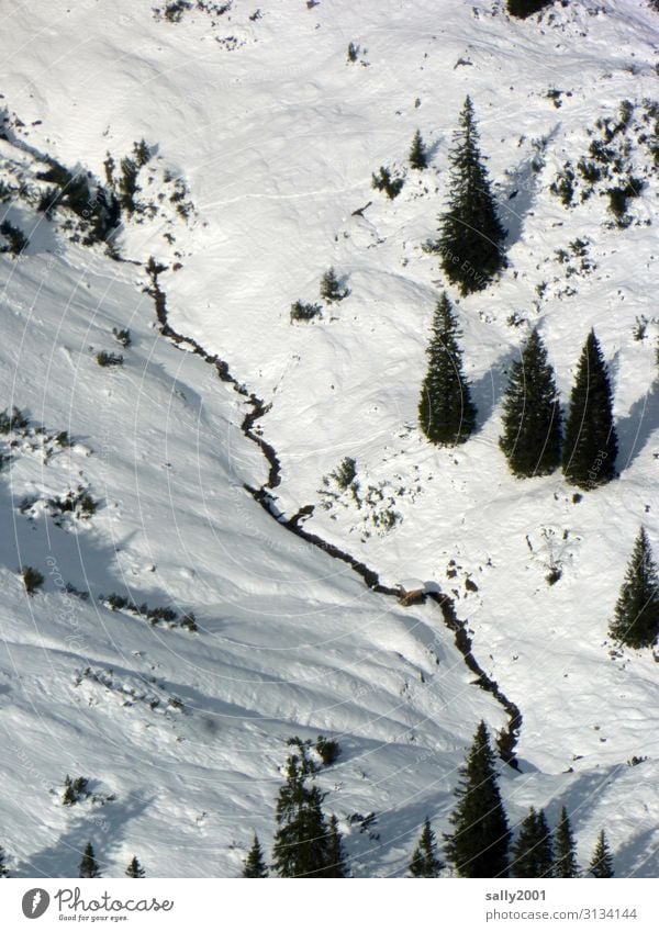 mountainous Nature Landscape Winter Snow Tree Alps Cold White Adventure Freedom Valley Allgäu Alps Hut Colour photo Exterior shot Deserted Day Shadow Sunlight