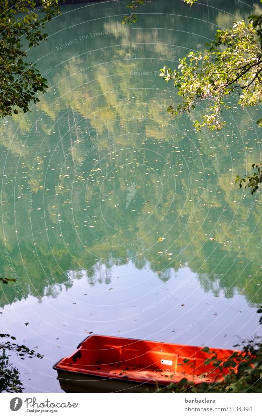 The red boat Nature Landscape Water Forest Lakeside Italy Navigation Rowboat Esthetic Red Moody Joy Calm Loneliness Freedom Leisure and hobbies Idyll Climate