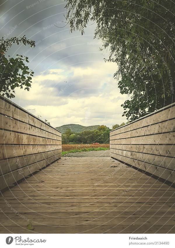 wooden bridge Trip Freedom Cycling tour Jogging Hiking Nature Landscape Sky Clouds Autumn Lanes & trails Bridge Movement Discover Relaxation Walking