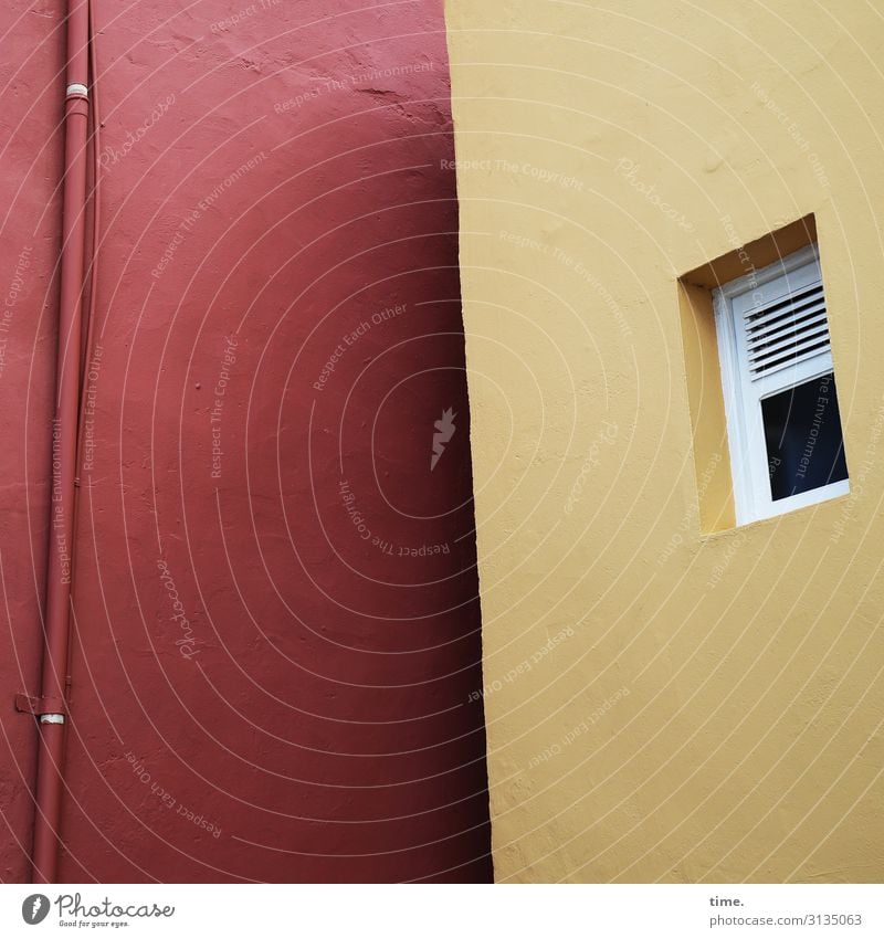 Backyard with window, pipe and slope House (Residential Structure) Wall (building) Window Downspout Downpipe Red Yellow two Side by side Neighbours