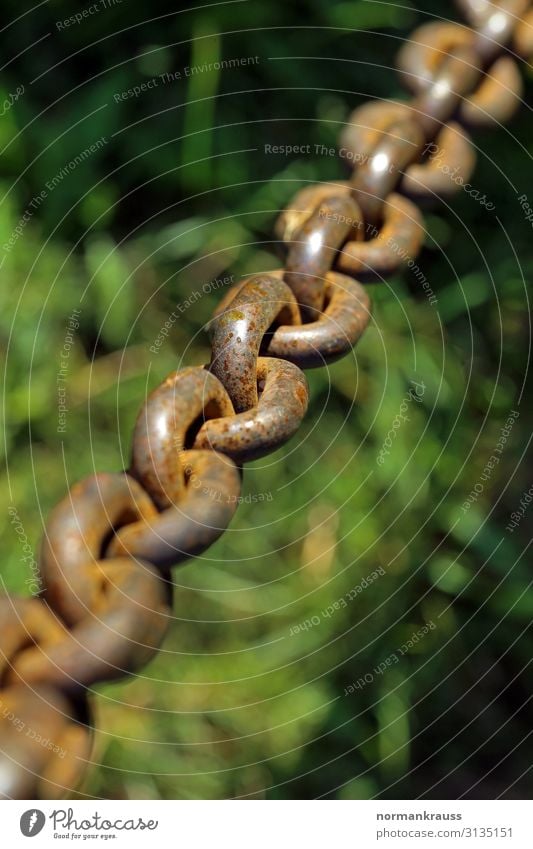 Rusty iron chain Chain Iron chain Metal Fat Firm Connectedness Colour photo Exterior shot Close-up Detail Macro (Extreme close-up) Copy Space left