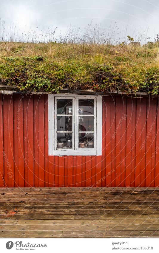 Overgrown Vacation & Travel Nature Sky Clouds Plant Grass Bushes Moss Meadow Hut Facade Window Roof Eaves Wood Discover Faded Elegant Crazy Wild Green Red White