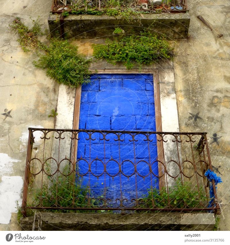 Art in construction | brings colour into life... Blue royal blue Balcony bricked up Architecture House (Residential Structure) Window Wall (building)