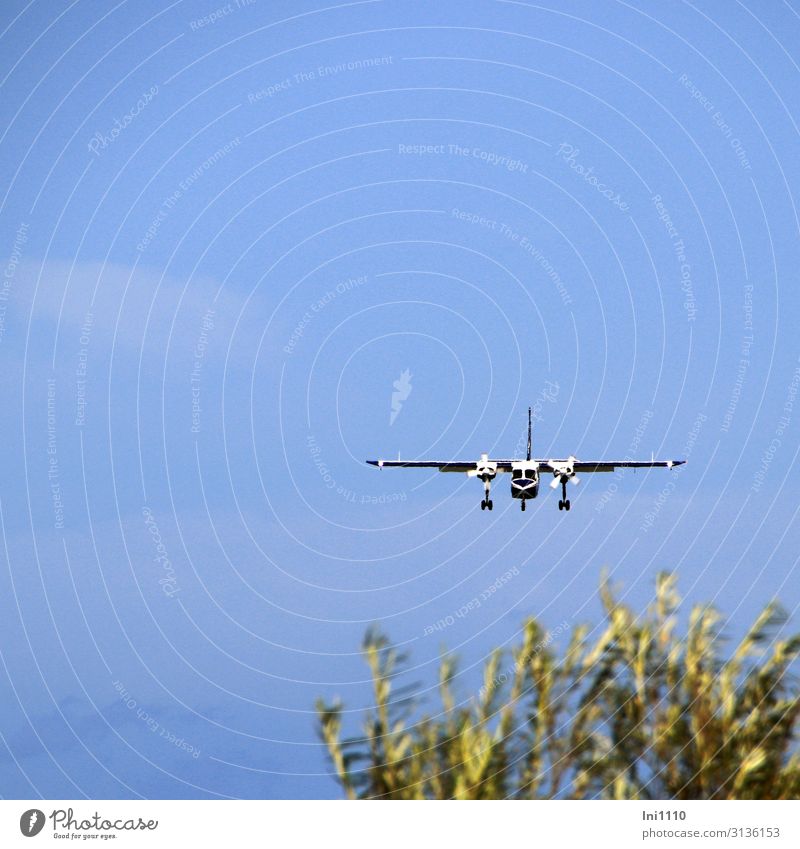 Take-off and landing from the dune Nature Air Sky Summer North Sea Island Aviation Airplane Propeller aircraft Airfield Blue Green Black White Helgoland duene