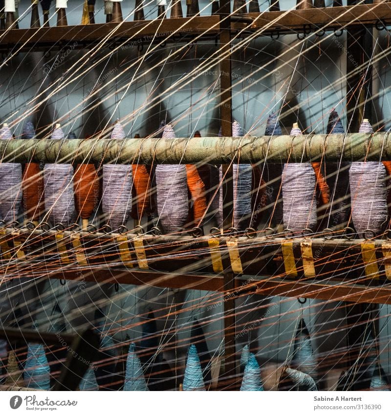 Spools of thread on the loom with crossing threads Art Sewing thread Loom Touch Discover Esthetic Thin Cuddly Near naturally pretty Warmth Blue Violet Orange