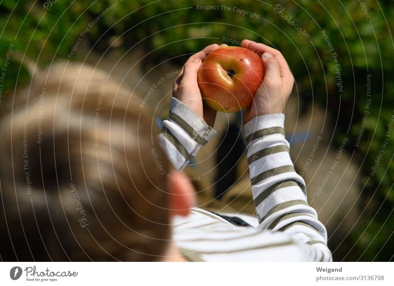 apple happiness Food Fruit Apple Nutrition Eating Organic produce Vegetarian diet Slow food Parenting Kindergarten Study Child Toddler Infancy 1 Human being