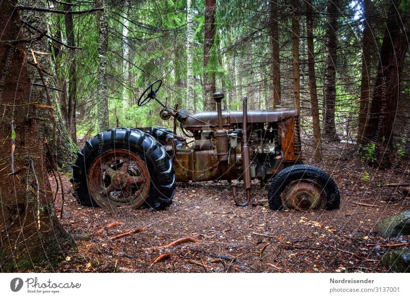 Old and forgotten Work and employment Workplace Agriculture Forestry Unemployment Retirement Machinery Technology Nature Earth Rain Tree Virgin forest