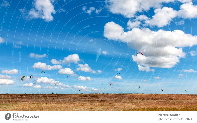 Kitesurfing at the Danish Baltic Sea Lifestyle Vacation & Travel Freedom Sun Ocean Sports Aquatics Nature Landscape Elements Air Sky Clouds Beautiful weather