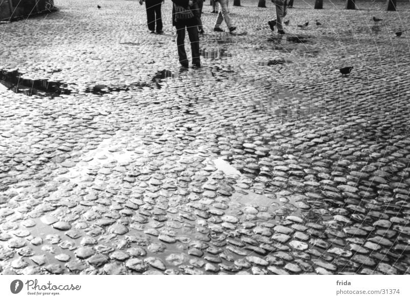 cobblestones Cobblestones Wet Town Puddle Transport Legs Black & white photo Stone Floor covering Street