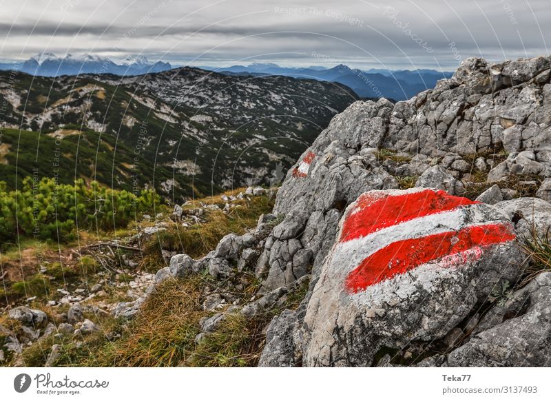 Austrian via ferrata Environment Nature Landscape Plant Hill Rock Mountain Peak Adventure Esthetic Colour photo Exterior shot Evening