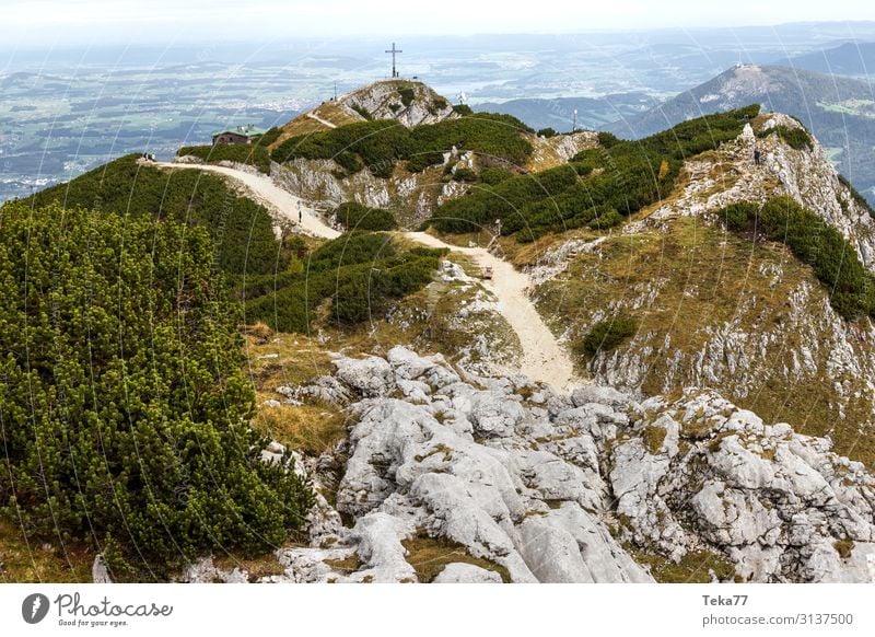 Untersberg Austria Environment Nature Landscape Plant Animal Autumn Hill Rock Alps Mountain Peak Esthetic Salzburg Federal State of Salzburg lower mountain