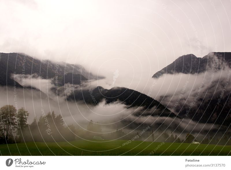 Nebulised Environment Nature Landscape Plant Elements Earth Sky Clouds Autumn Tree Grass Rock Mountain Far-off places Natural Green Black White Austria