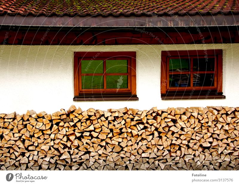 Wood in front of the hut (II) Village House (Residential Structure) Detached house Hut Wall (barrier) Wall (building) Facade Window Roof Near Warmth Brown Red