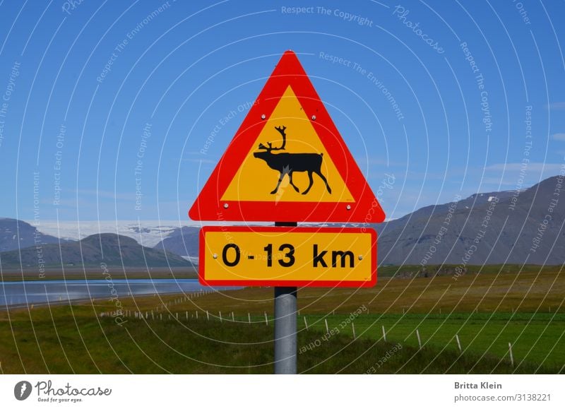 Reindeer ahead Animal Signs and labeling Signage Warning sign Road sign Driving Sharp-edged Blue Yellow Red Iceland Colour photo Exterior shot Deserted Day